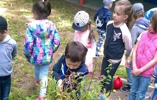 Дошкольники поселения приобщились к садоводству